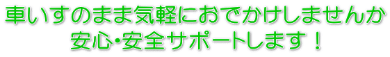 車いすのまま気軽におでかけしませんか 安心・安全サポートします!